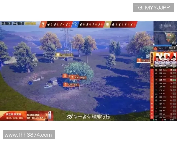 童家堡的野猫与架枪传奇探秘之旅 童家堡的野猫与架枪传奇探秘之旅